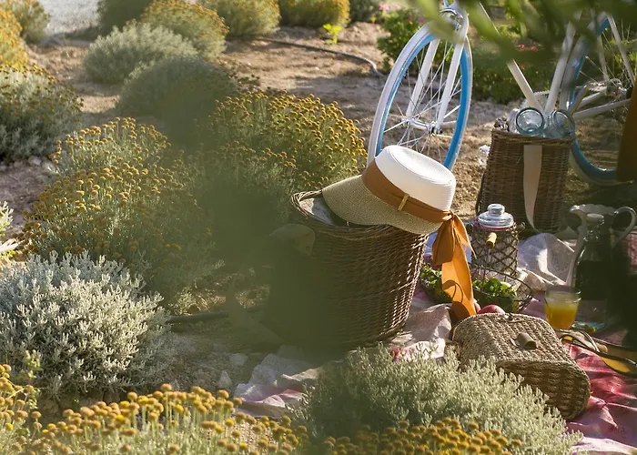 Aelia Wellness Retreat